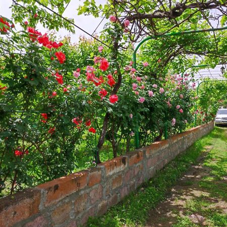 Our Village Аштаракат Экстерьер фото